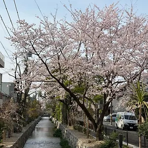  ホームステイ 初音